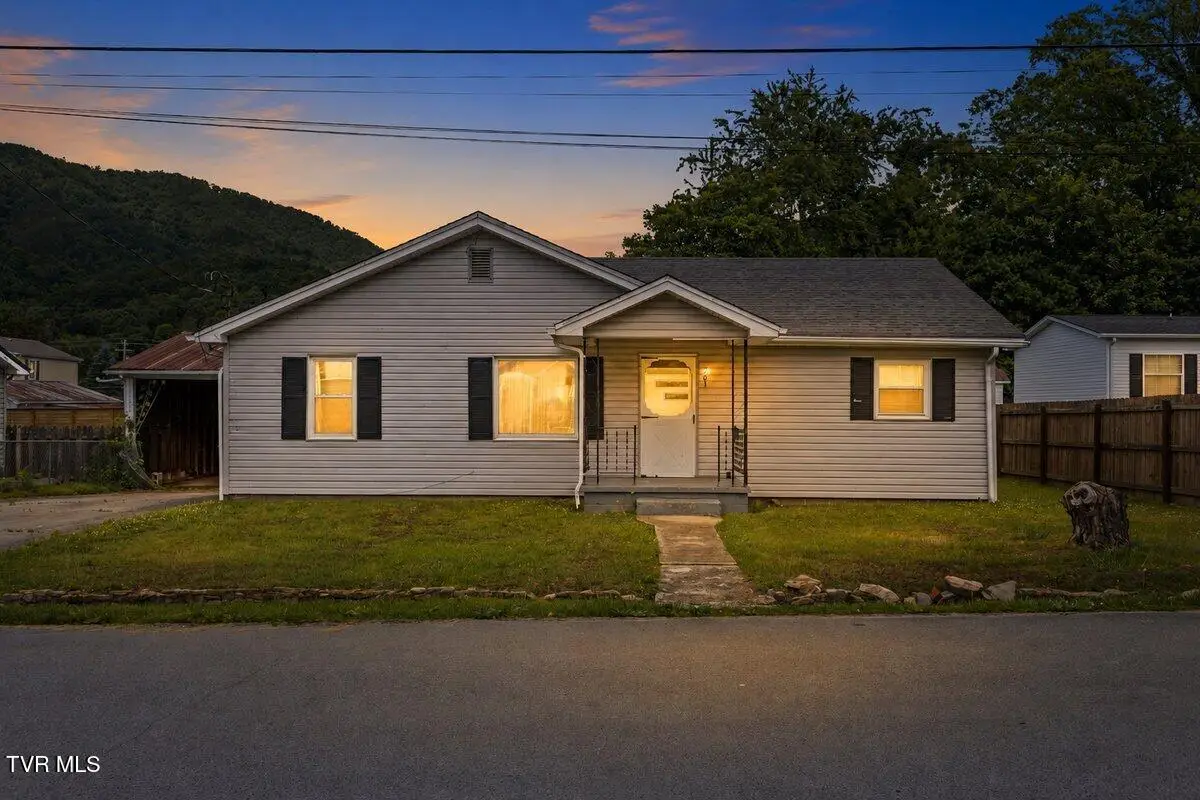 201 Melrose Street, Hampton, TN 37658 - #1