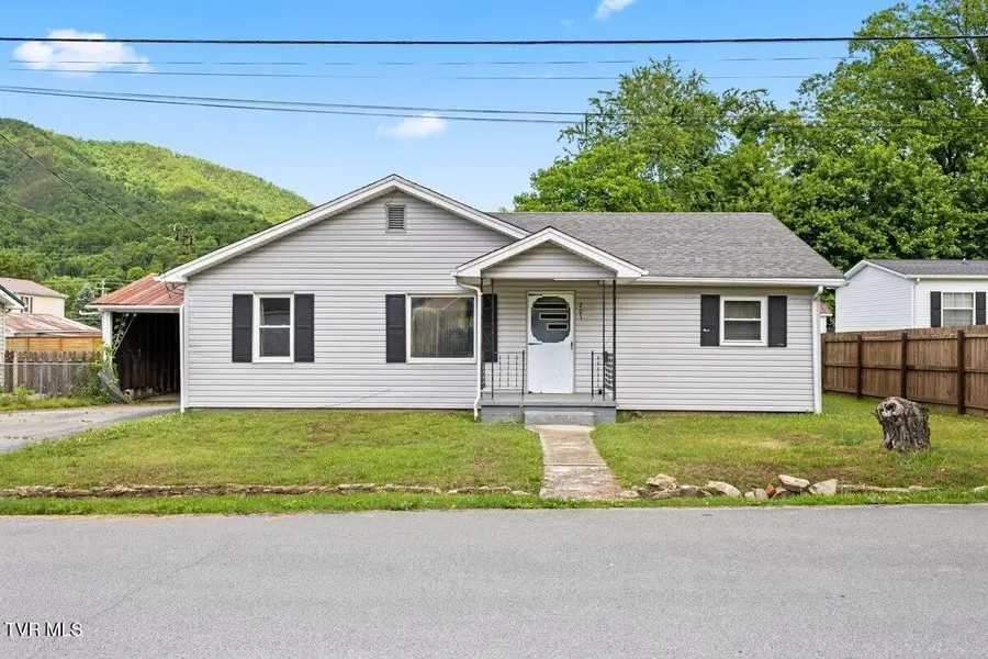 201 Melrose Street, Hampton, TN 37658 - #2