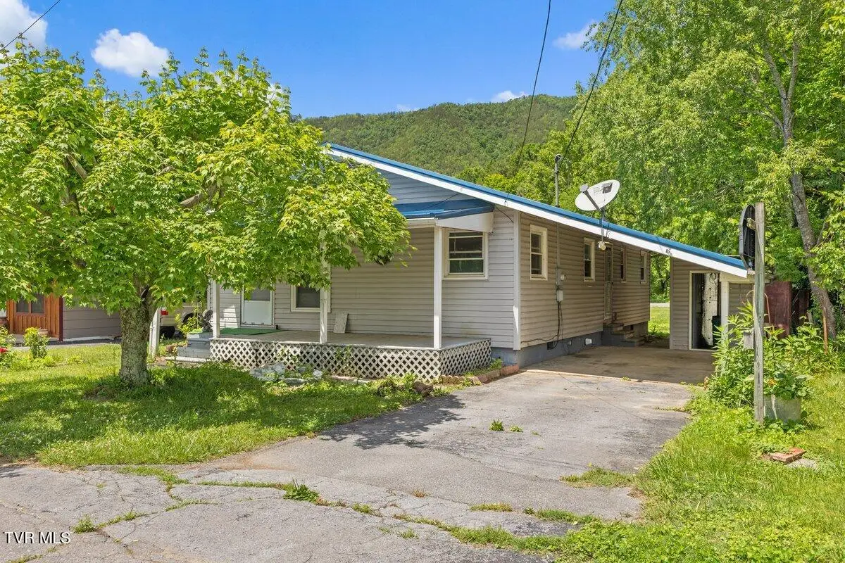 115 Alexander Street, Hampton, TN 37658 - #1