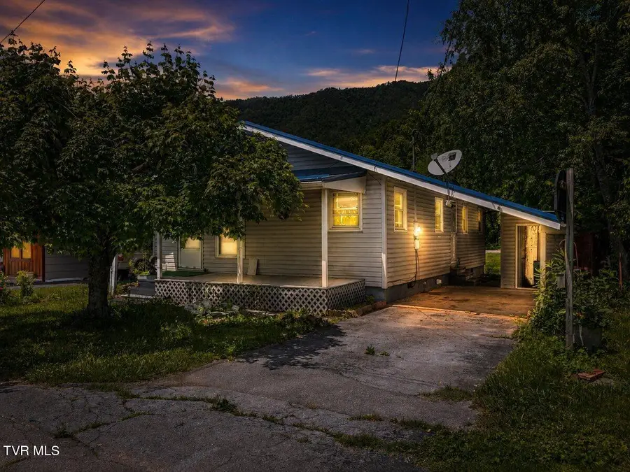 115 Alexander Street, Hampton, TN 37658 - #2