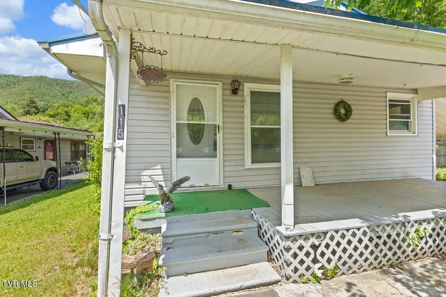 115 Alexander Street, Hampton, TN 37658 - #3
