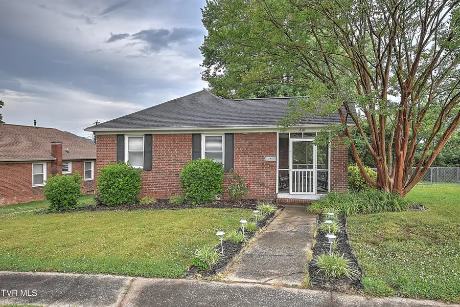 818 Birch Street, Kingsport, TN 37664 - #3