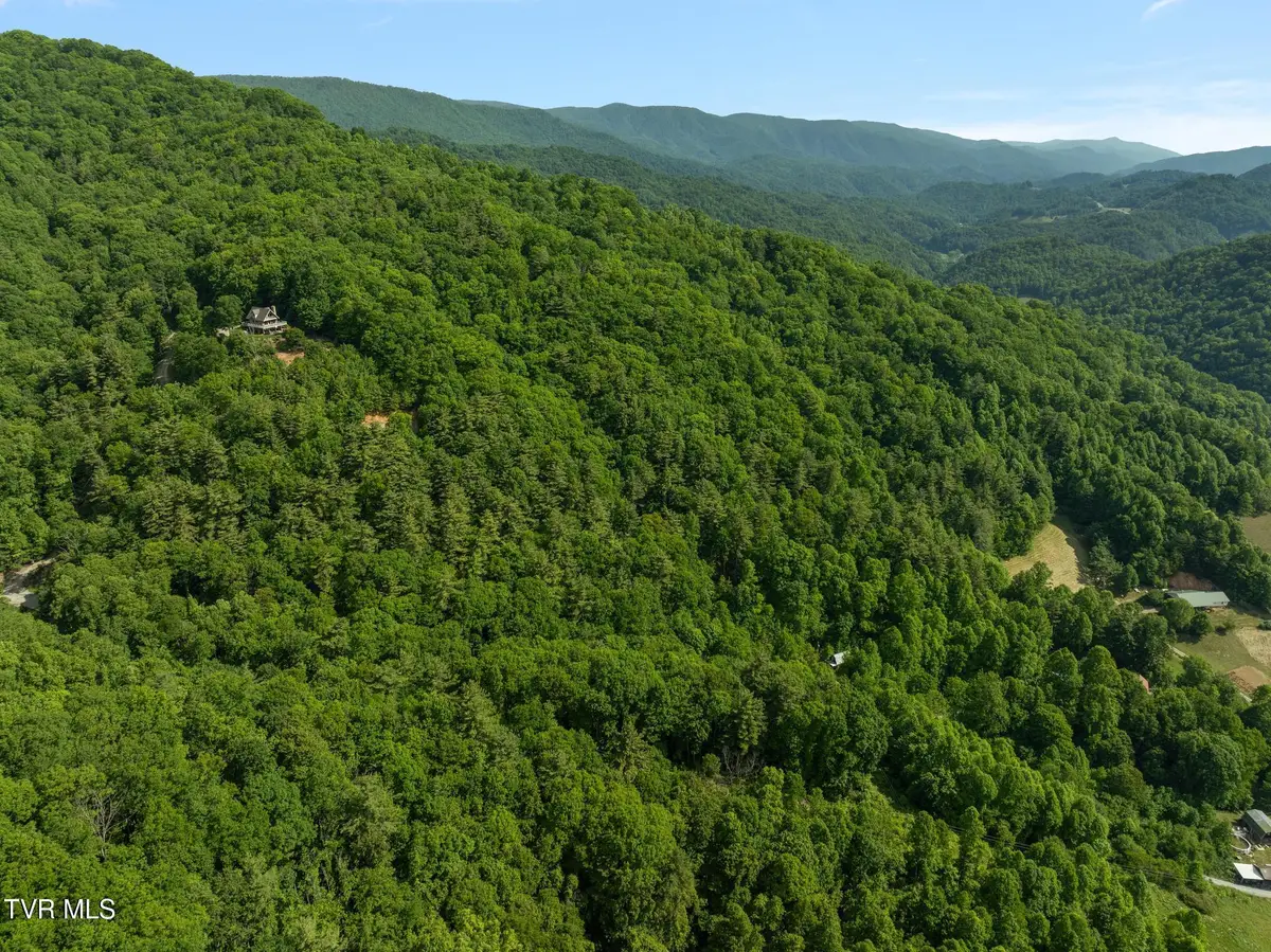 685 Tipton Branch Road, Flag Pond, TN 37657 - #1