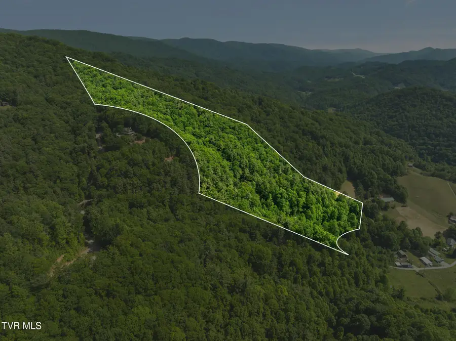 685 Tipton Branch Road, Flag Pond, TN 37657 - #2