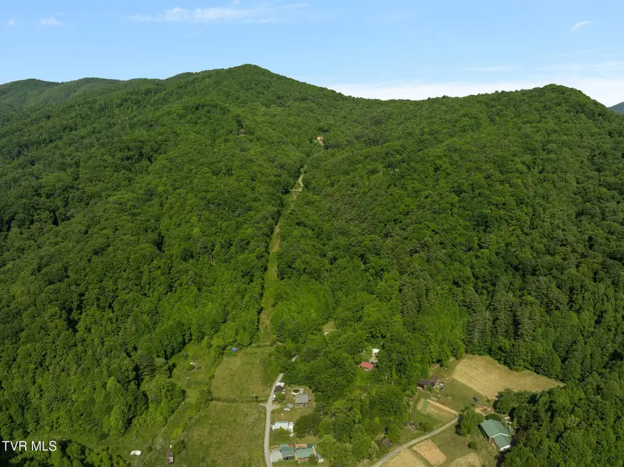 685 Tipton Branch Road, Flag Pond, TN 37657 - #3
