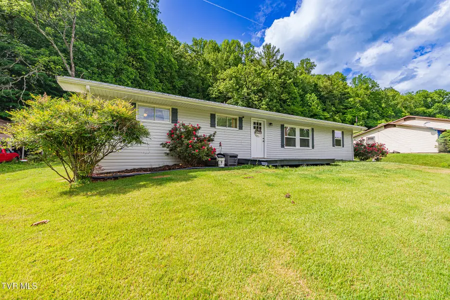 380 Meadow Lark Street, Weber City, VA 24290 - #2