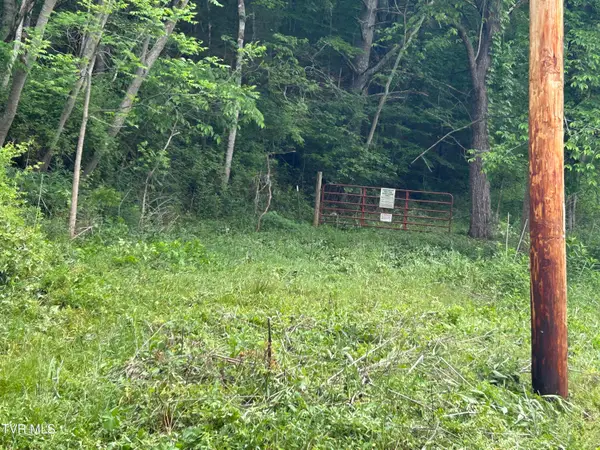 0 High Country Road #091145.00, Butler, TN 37640