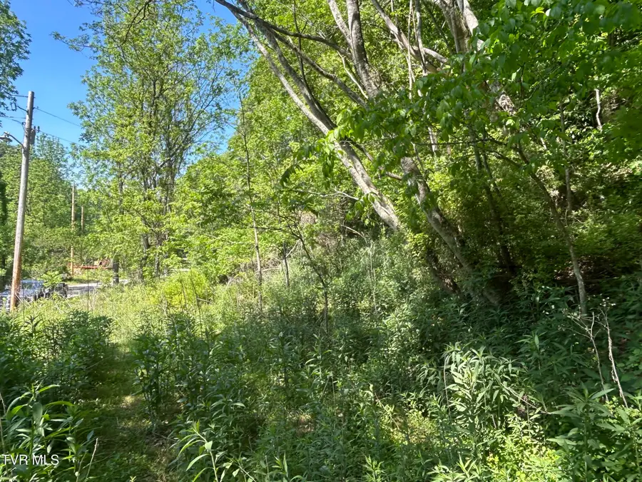 0 High Country Road #091145.00, Butler, TN 37640 - #2