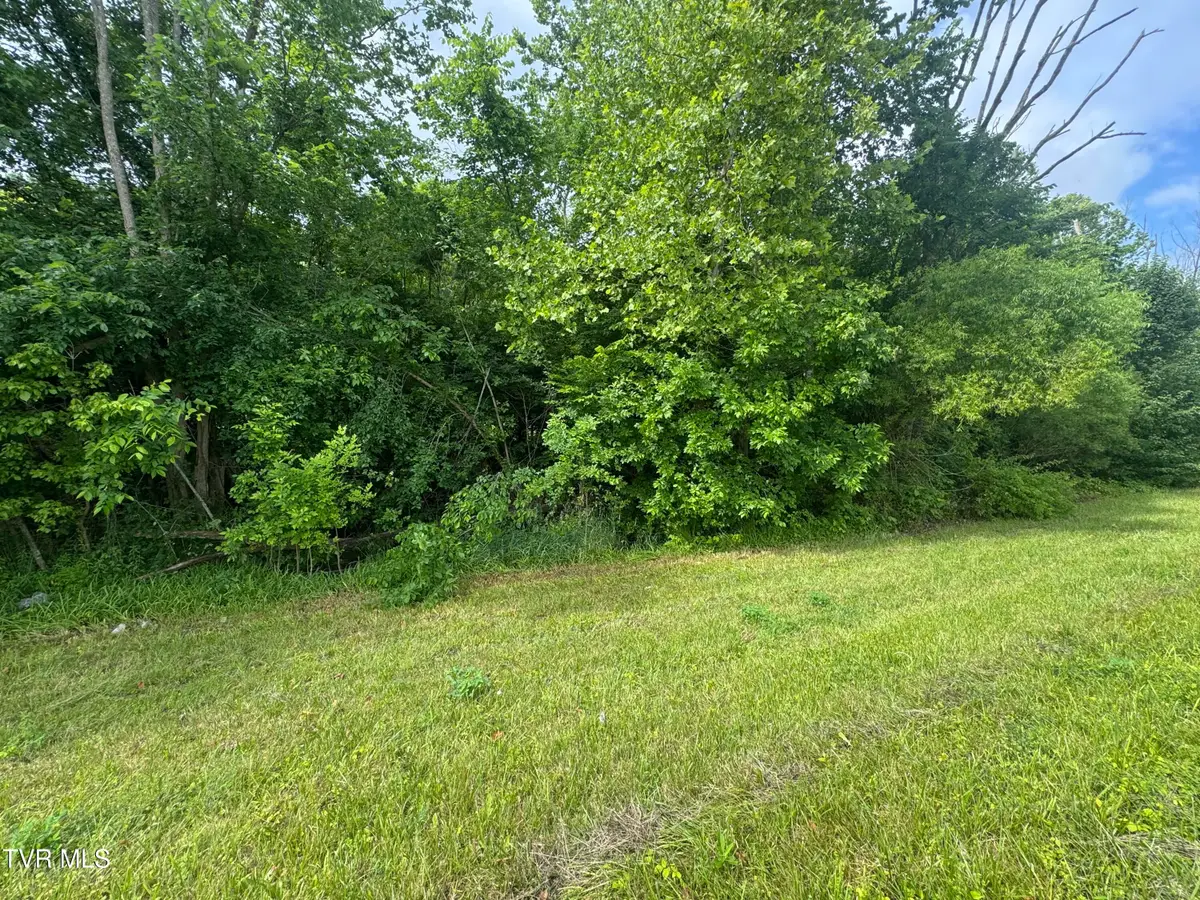 Tbd West Highway 11 Lot 22, Kingsport, TN 37660 - #1