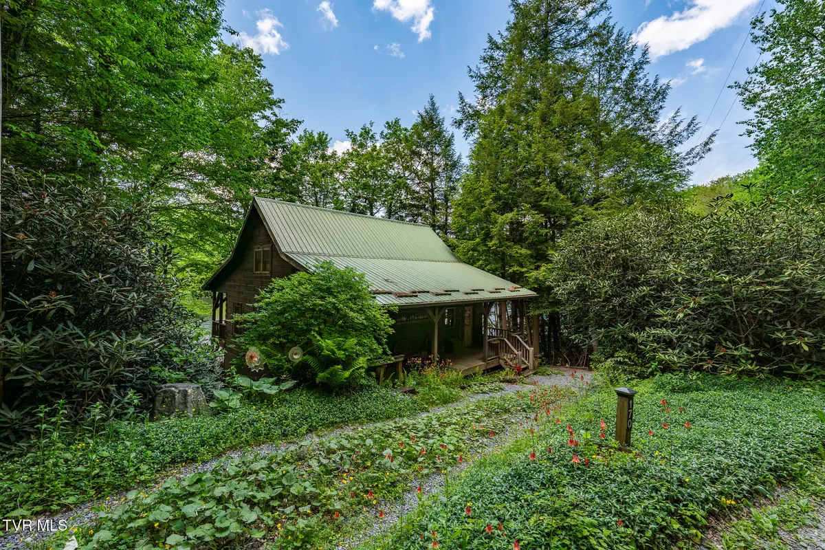170 Ripshin Lake Road, Roan Mountain, TN 37687 - #1