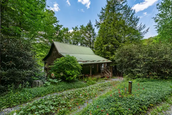 170 Ripshin Lake Road, Roan Mountain, TN 37687