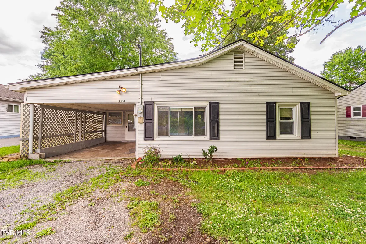 524 Old Beason Well Road, Kingsport, TN 37660 - #1