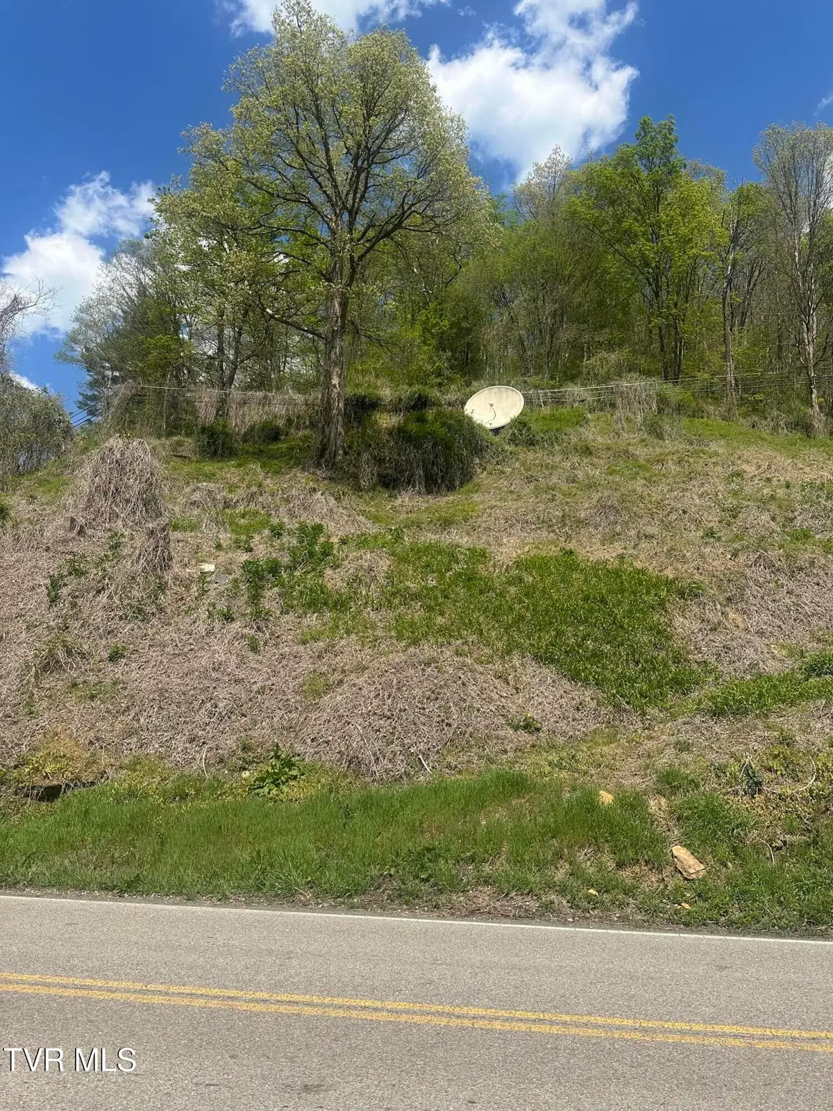 Tbd Dante Mountain Road, McClure, VA 62957 - #1