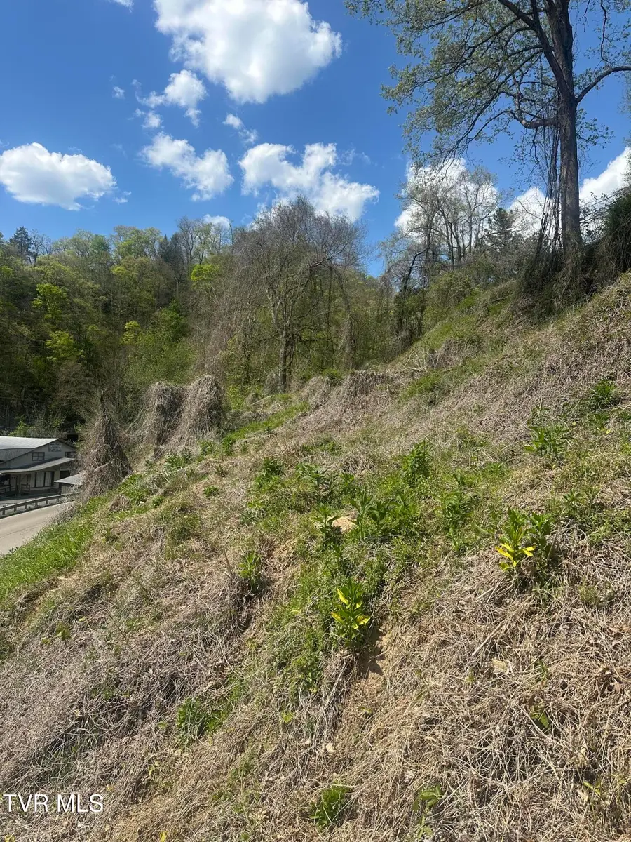 Tbd Dante Mountain Road, McClure, VA 62957 - #2