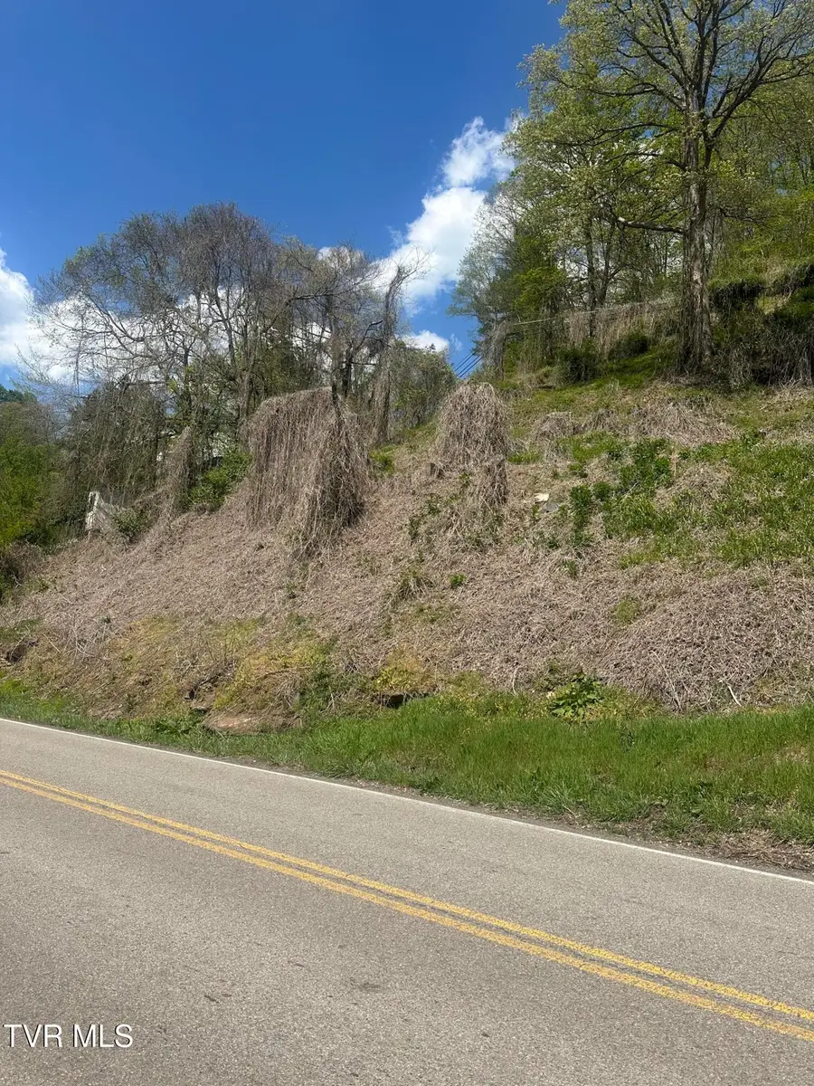 Tbd Dante Mountain Road, McClure, VA 62957 - #3