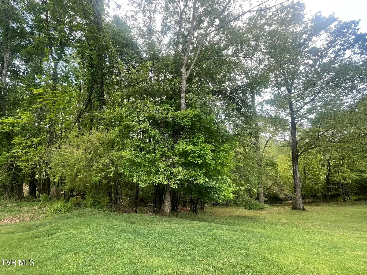 Tbd Hillcrest Drive, Gate City, VA 24251 - #1