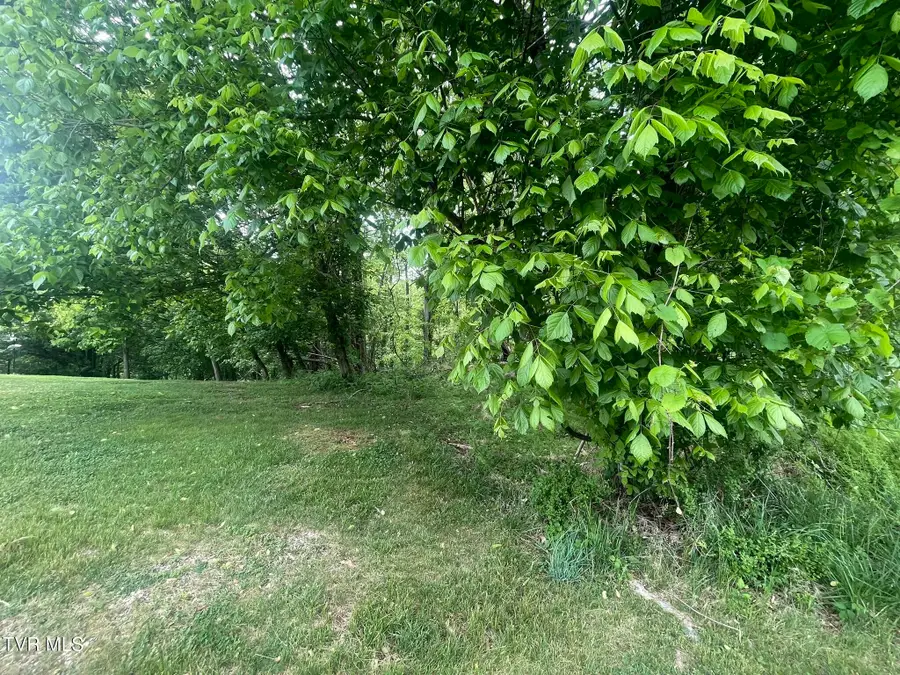 Tbd Hillcrest Drive, Gate City, VA 24251 - #2
