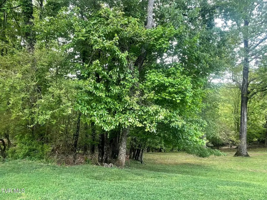 Tbd Hillcrest Drive, Gate City, VA 24251 - #3
