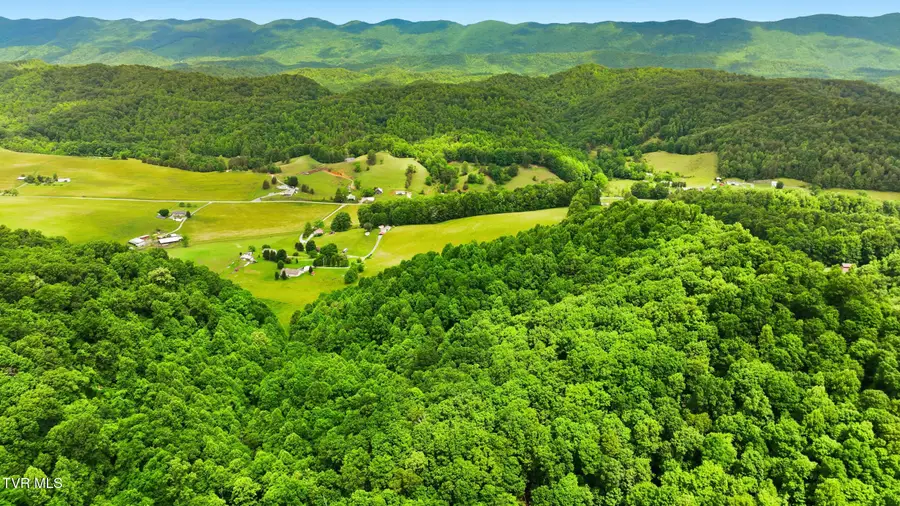 16037 Knights Bridge Road, Abingdon, VA 24210 - #3