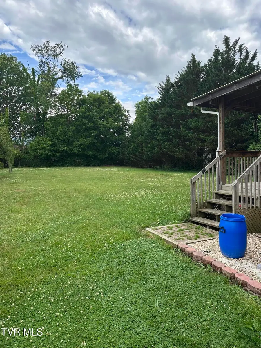 132 Elliott Avenue, Erwin, TN 37650 - #3