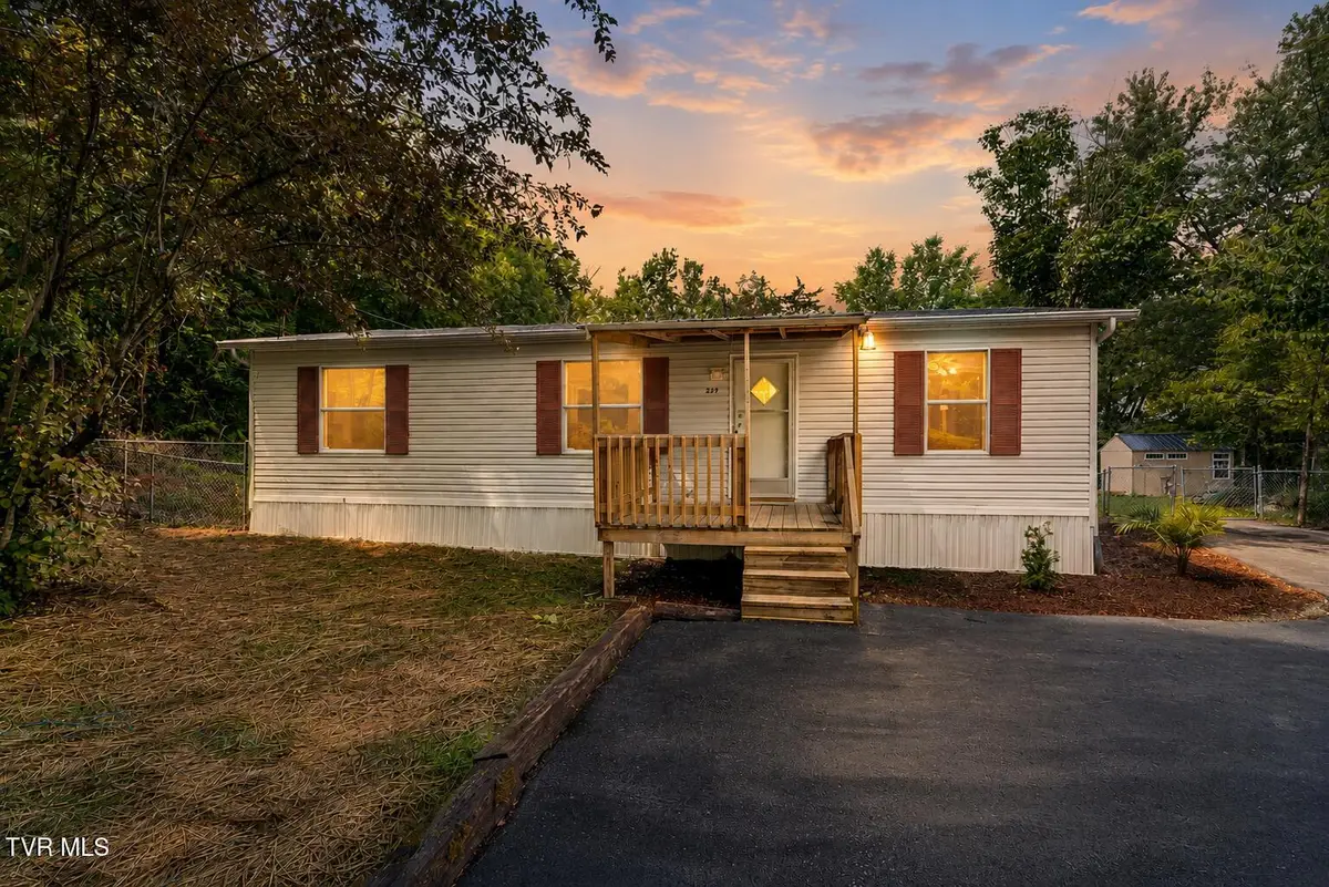 229 Alpine Loop, Mosheim, TN 37818 - #1