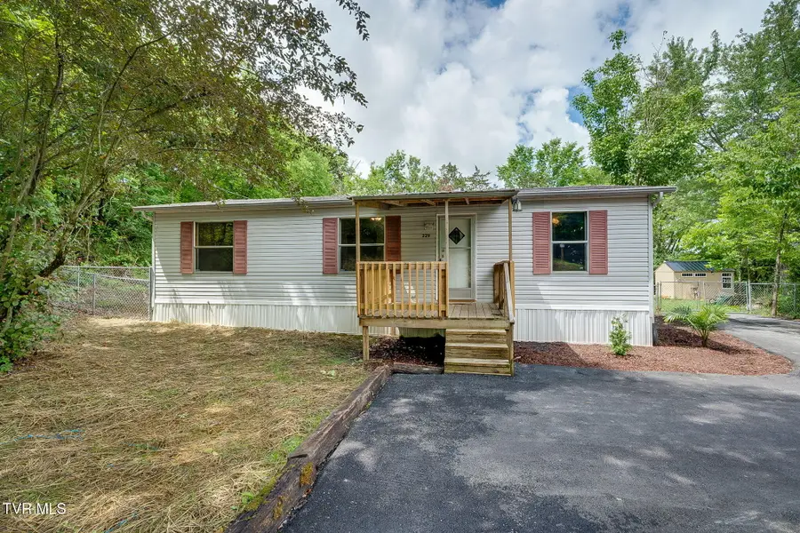 229 Alpine Loop, Mosheim, TN 37818 - #2