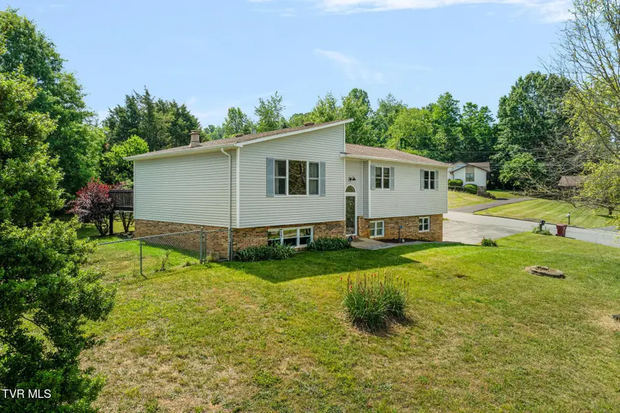 3101 Newbern Drive, Johnson City, TN 37604 - #2