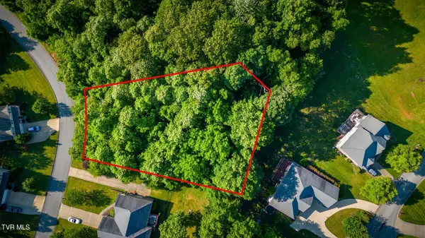 280 Holland View Drive, Jonesborough, TN 37659