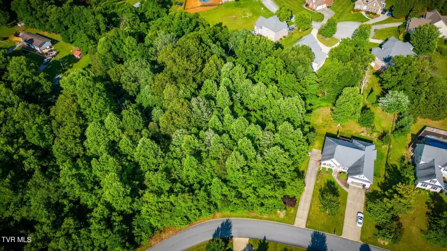 280 Holland View Drive, Jonesborough, TN 37659 - #3