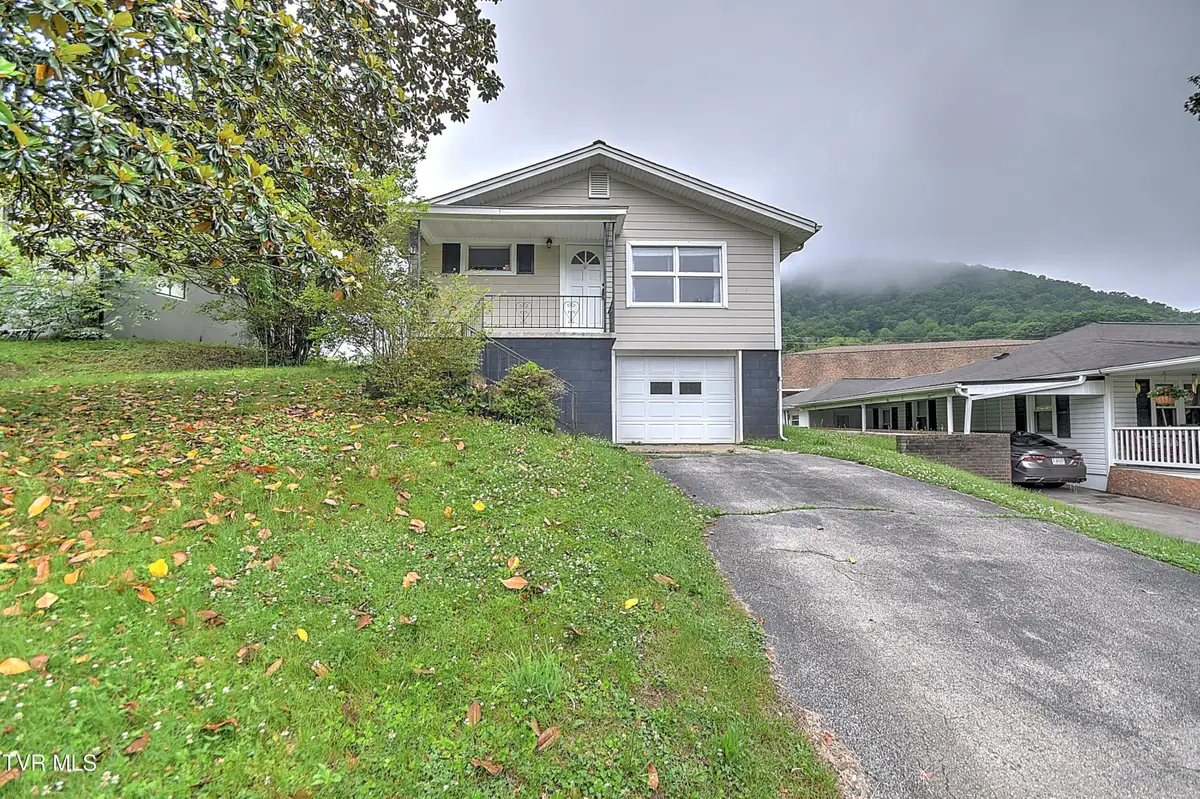 166 Reading Road, Weber City, VA 24290 - #1