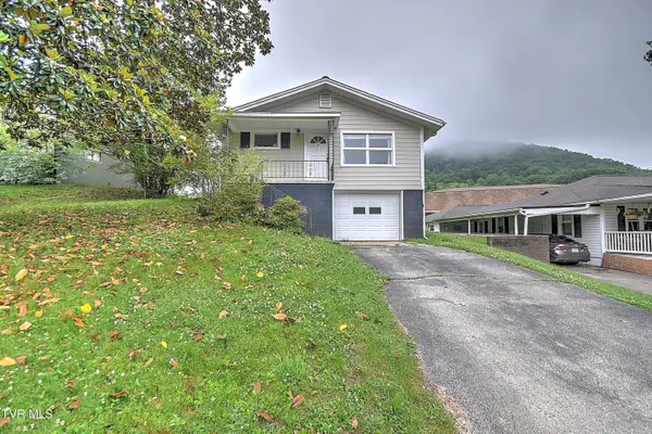 166 Reading Road, Weber City, VA 24290
