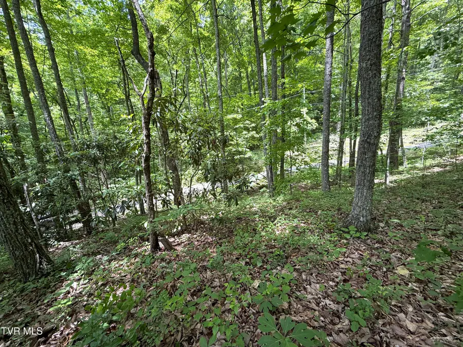 0 Swan Saddle #10, Sevierville, TN 37876 - #2