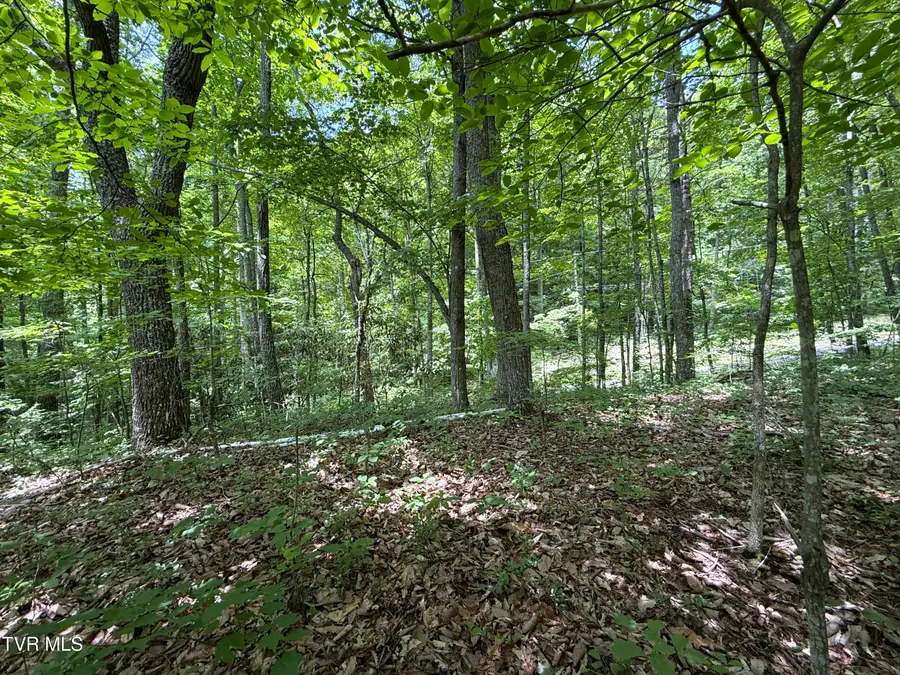 0 Swan Saddle #10, Sevierville, TN 37876 - #3