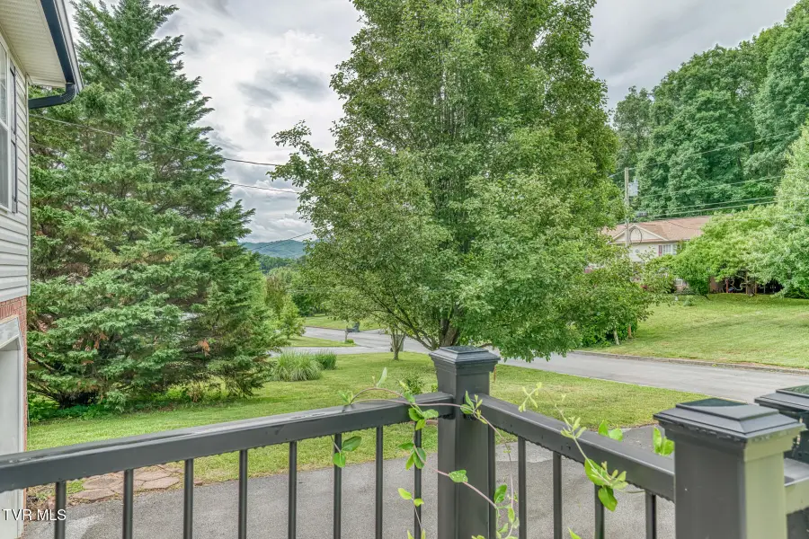 452 Emma Grace Drive, Jonesborough, TN 37659 - #3