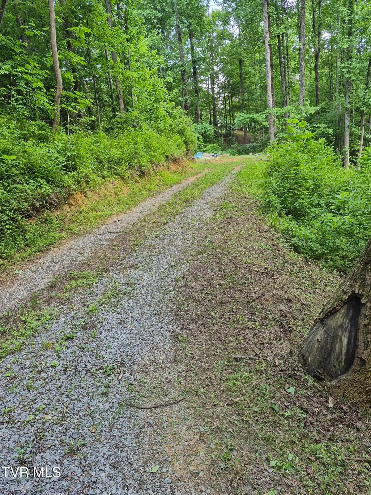 134 Thomas And Webb Road, Johnson City, TN 37604 - #1