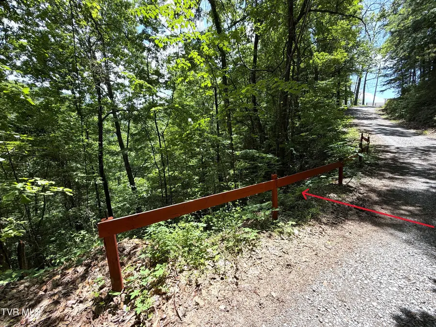 Lot 23 Aintree Drive #23, Sevierville, TN 37876 - #2