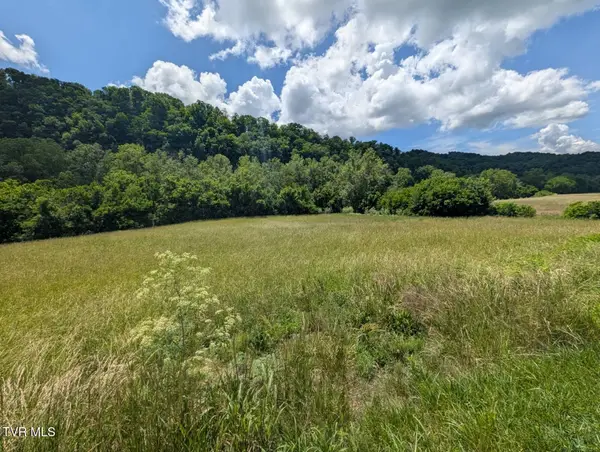 Tbd Clinch River Highway, Gate City, VA 24251