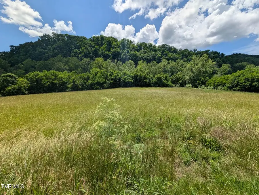 Tbd Clinch River Highway, Gate City, VA 24251 - #2