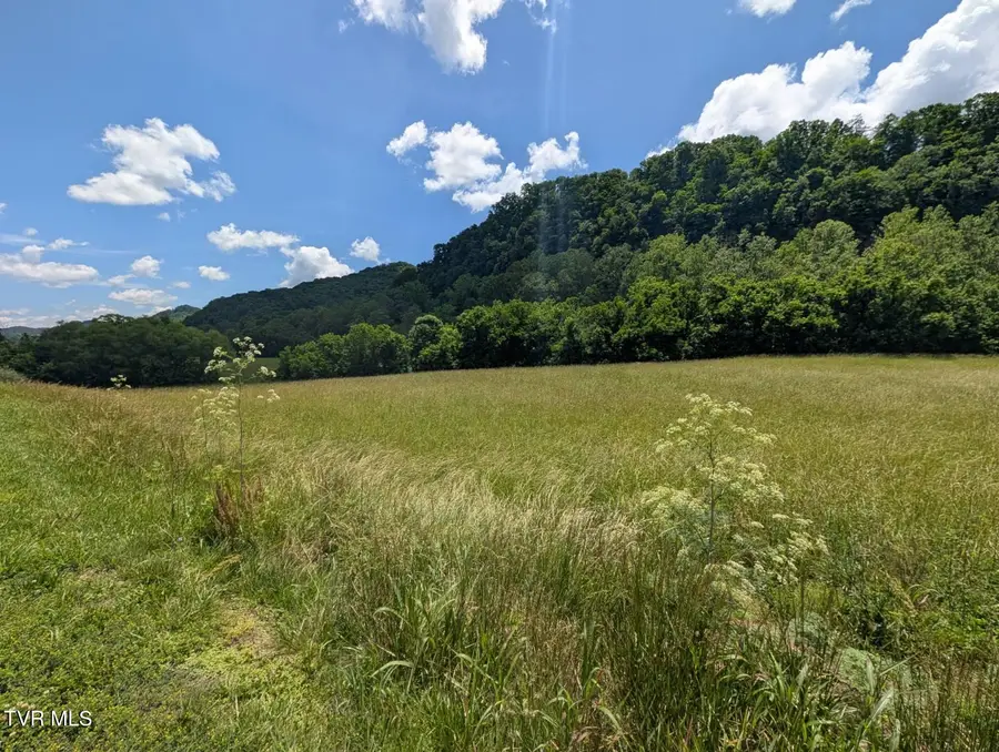 Tbd Clinch River Highway, Gate City, VA 24251 - #3