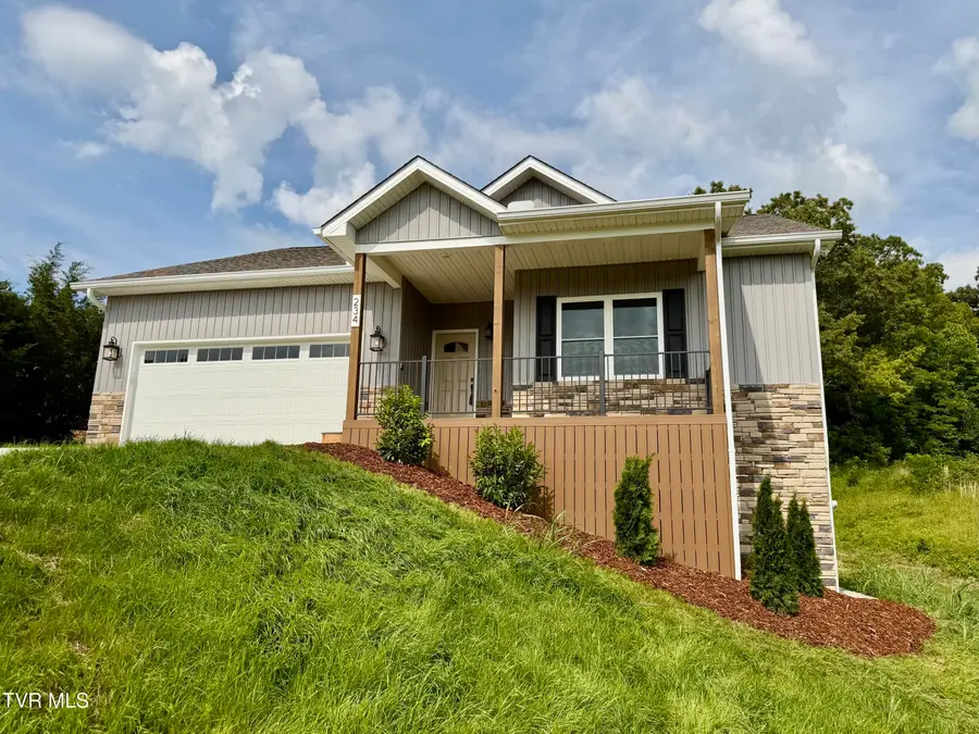 234 East Ridges Drive, Chuckey, TN 37641 - #3
