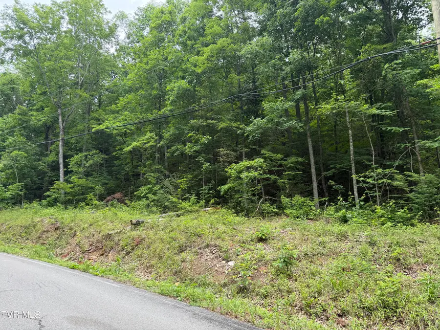 Tbd Alpine Drive, Sevierville, TN 37876 - #2