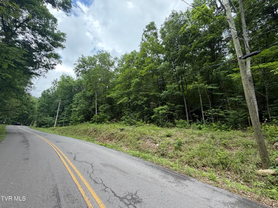 Tbd Alpine Drive, Sevierville, TN 37876 - #3