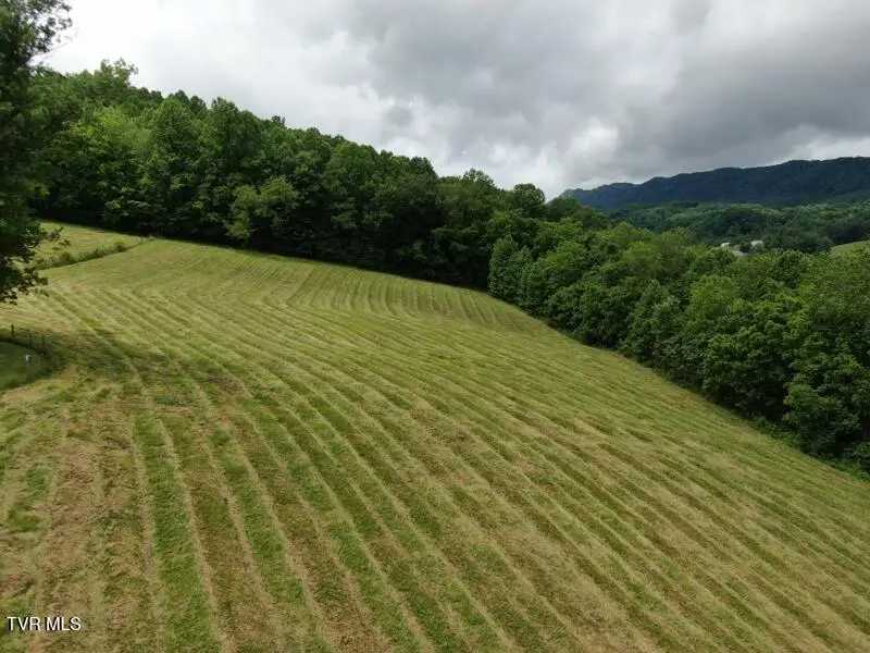 290 Snyder Ridge, Rose Hill, VA 24281 - #3