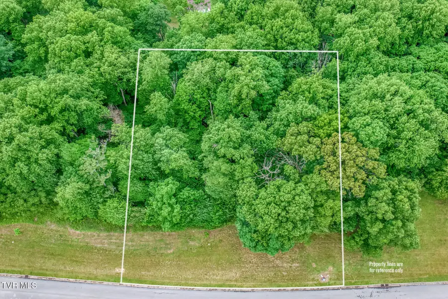 Lot 44 Chimney Top Lane, Chuckey, TN 37641 - #2