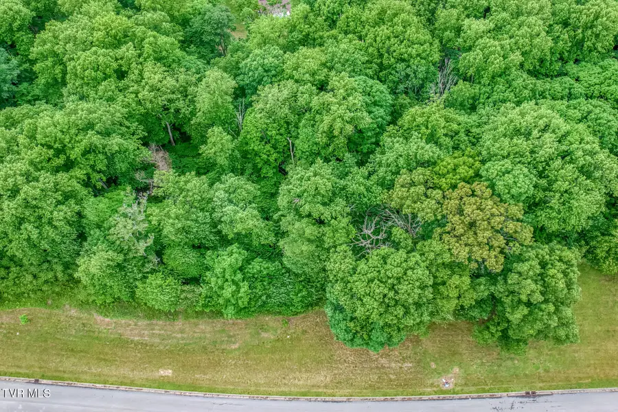 Lot 44 Chimney Top Lane, Chuckey, TN 37641 - #3