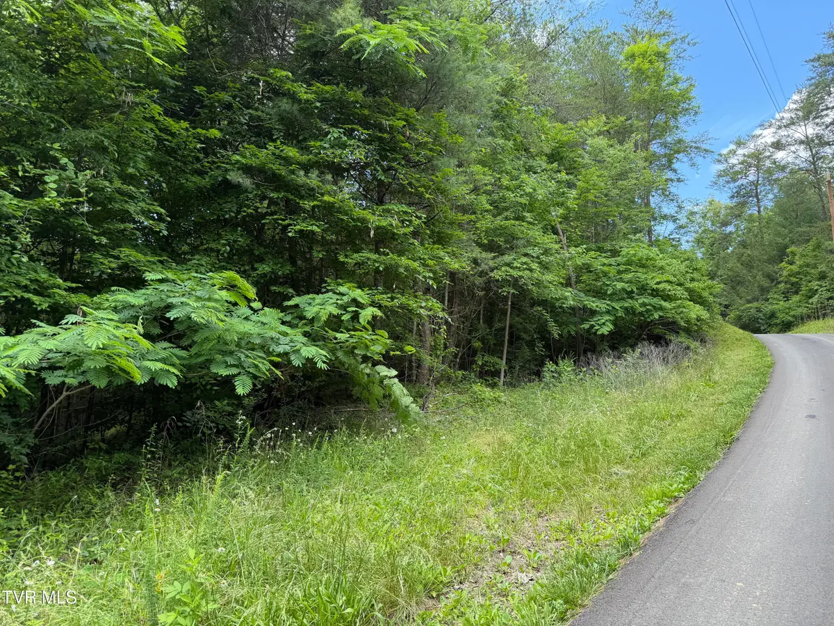 Tbd Obes Branch Road, Sevierville, TN 37876 - #1
