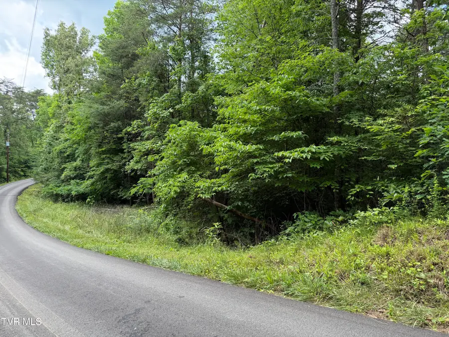 Tbd Obes Branch Road, Sevierville, TN 37876 - #2