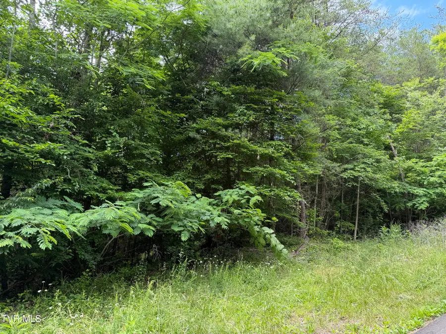 Tbd Obes Branch Road, Sevierville, TN 37876 - #3