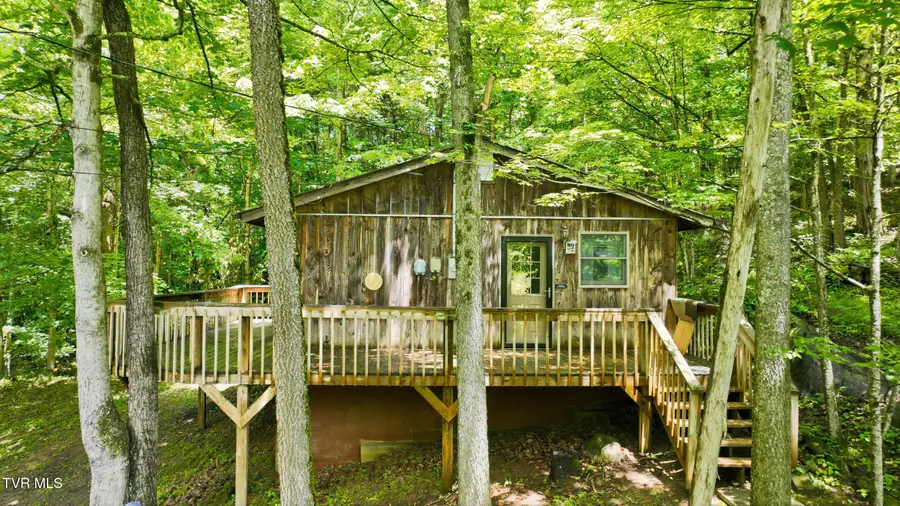 307 Ollis Bowers Hill Road, Kingsport, TN 37664 - #3