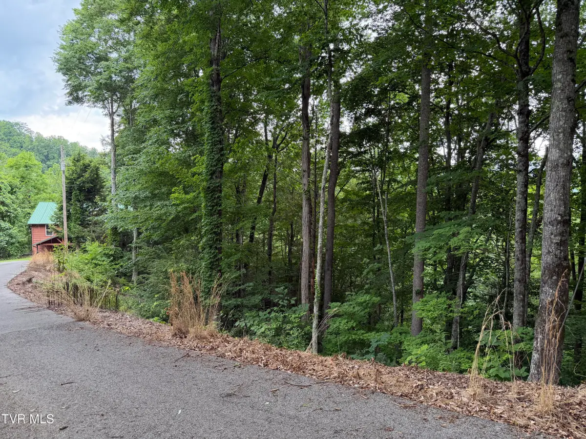 Tbd High Top Loop, Sevierville, TN 37862 - #1